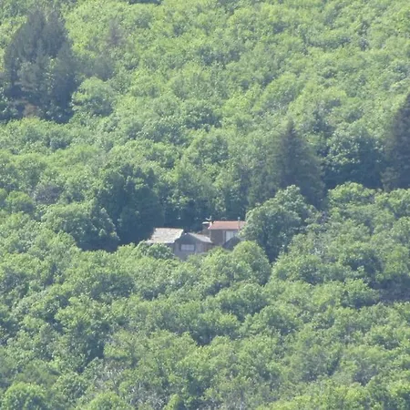 Holiday home Havre De Paix Le Collet-de-Deze